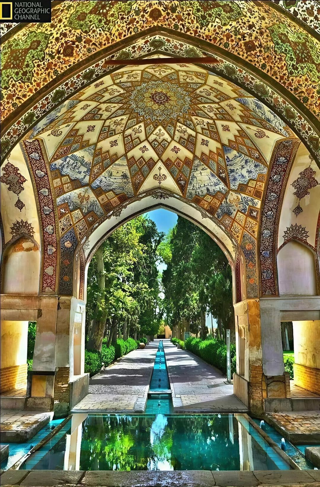 ّfin garden